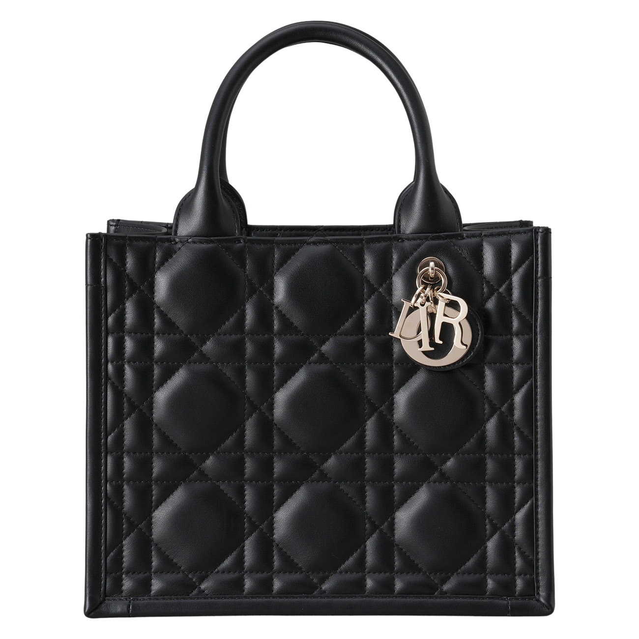 CHRISTIAN DIOR(USED)디올 북토트 스몰 매크로 까나쥬